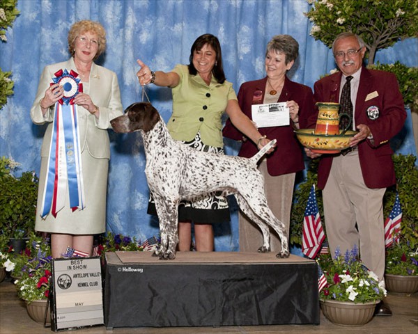 BIS, BISS GCh Shortales N Cahoots W Irondale, JH 